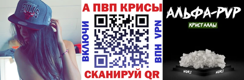 APVP СК  Болохово 