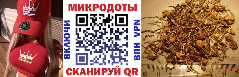 Галлюциногенные грибы ЛСД Болохово
